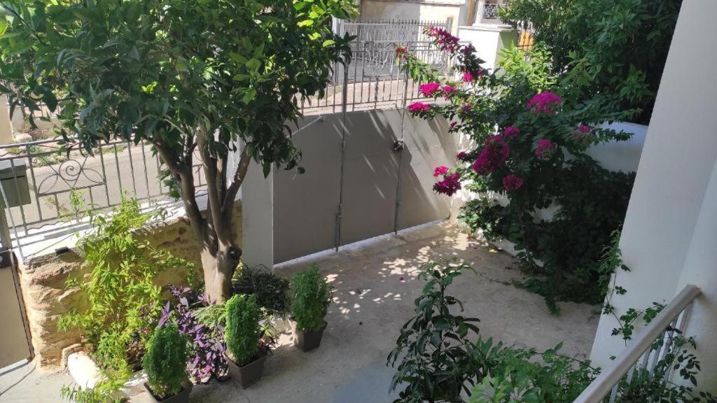 Comfortable Close To The Airport * Spata (East Attica)